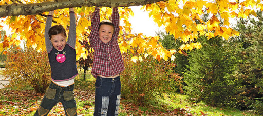 A Natureza e o desenvolvimento infantil