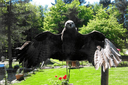 Parque Biológico de Lamego